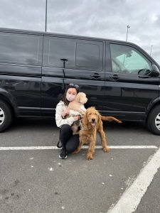 pet taxi paris to london